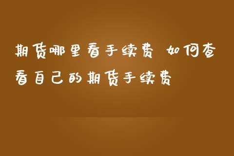 期货哪里看手续费 如何查看自己的期货手续费 (https://www.ynbygsw.com/) 国际期货 第1张