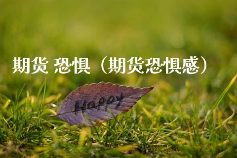 期货 恐惧（期货恐惧感） (https://www.ynbygsw.com/) 内盘期货 第1张