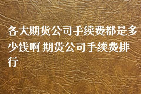 各大期货公司手续费都是多少钱啊 期货公司手续费排行 (https://www.ynbygsw.com/) 国际期货 第1张