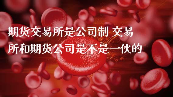 期货交易所是公司制 交易所和期货公司是不是一伙的 (https://www.ynbygsw.com/) 股票推荐 第1张
