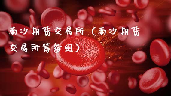 南沙期货交易所（南沙期货交易所筹备组） (https://www.ynbygsw.com/) 国际期货 第1张