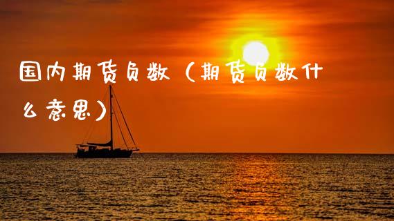 国内期货负数（期货负数什么意思） (https://www.ynbygsw.com/) 基金投资 第1张