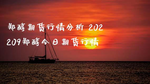 郑醇期货行情分析 202209郑醇今日期货行情 (https://www.ynbygsw.com/) 内盘期货 第1张
