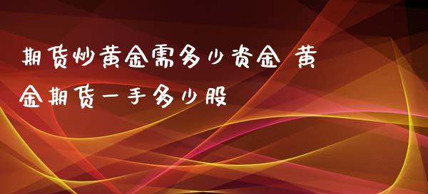 期货炒黄金需多少资金 黄金期货一手多少股 (https://www.ynbygsw.com/) 内盘期货 第1张