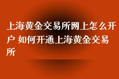 上海黄金交易所网上怎么开户 如何开通上海黄金交易所 (https://www.ynbygsw.com/) 国际期货 第1张