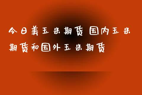 今日美玉米期货 国内玉米期货和国外玉米期货 (https://www.ynbygsw.com/) 理财百科 第1张