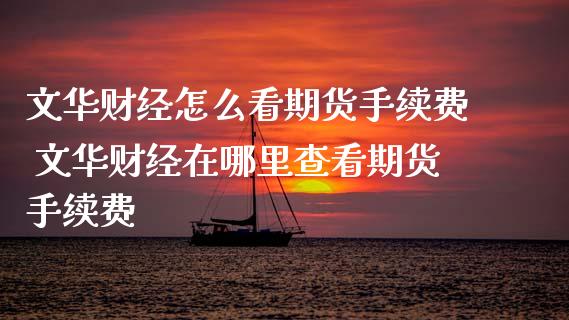 文华财经怎么看期货手续费 文华财经在哪里查看期货手续费 (https://www.ynbygsw.com/) 国际期货 第1张