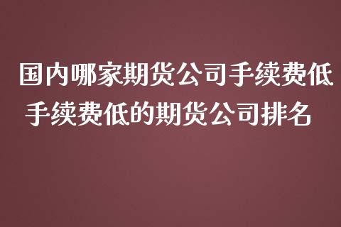 国内哪家期货公司手续费低 手续费低的期货公司排名 (https://www.ynbygsw.com/) 国际期货 第1张