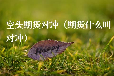 空头期货对冲（期货什么叫对冲） (https://www.ynbygsw.com/) 股指期货 第1张