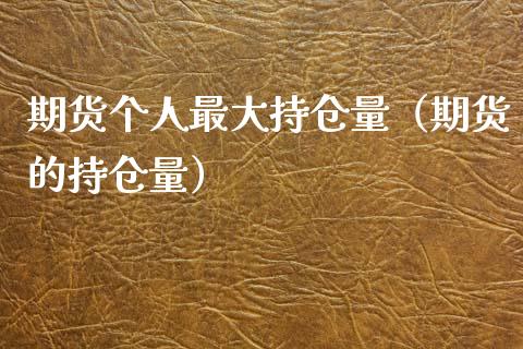 期货个人最大持仓量（期货的持仓量） (https://www.ynbygsw.com/) 国际期货 第1张
