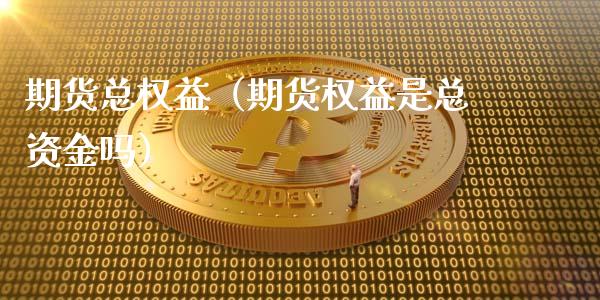 期货总权益（期货权益是总资金吗） (https://www.ynbygsw.com/) 理财百科 第1张