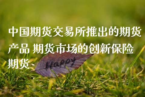 中国期货交易所推出的期货产品 期货市场的创新保险期货 (https://www.ynbygsw.com/) 基金投资 第1张