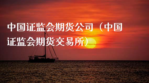 中国期货公司（中国期货交易所） (https://www.ynbygsw.com/) 国际期货 第1张