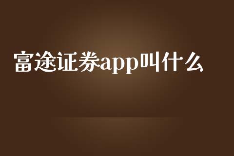 富途证券app叫什么 (https://www.ynbygsw.com/) 基金投资 第1张