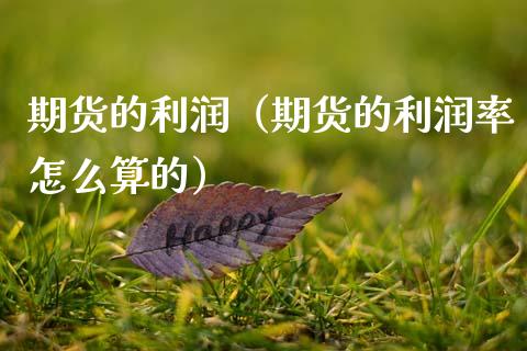 期货的利润（期货的利润率怎么算的） (https://www.ynbygsw.com/) 股票推荐 第1张