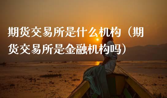 期货交易所是什么机构（期货交易所是金融机构吗） (https://www.ynbygsw.com/) 股票推荐 第1张