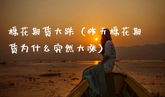 棉花期货大跌（昨天棉花期货为什么突然大涨） (https://www.ynbygsw.com/) 理财百科 第1张