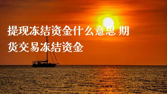 提现冻结资金什么意思 期货交易冻结资金 (https://www.ynbygsw.com/) 国际期货 第1张