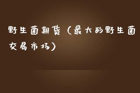 野生菌期货（最大的野生菌交易市场） (https://www.ynbygsw.com/) 原油期货 第1张
