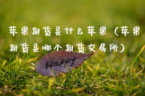 苹果期货是什么苹果（苹果期货是哪个期货交易所） (https://www.ynbygsw.com/) 原油期货 第1张