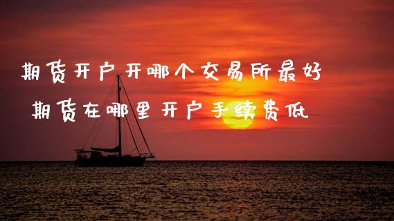 期货开户开哪个交易所最好 期货在哪里开户手续费低 (https://www.ynbygsw.com/) 基金投资 第1张