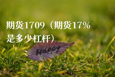 期货1709（期货17%是多少杠杆） (https://www.ynbygsw.com/) 股票推荐 第1张