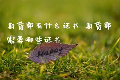 期货都有什么证书 期货都需要哪些证书 (https://www.ynbygsw.com/) 基金投资 第1张