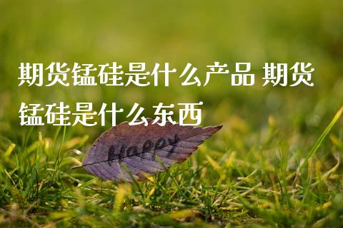 期货锰硅是什么产品 期货锰硅是什么东西 (https://www.ynbygsw.com/) 理财百科 第1张
