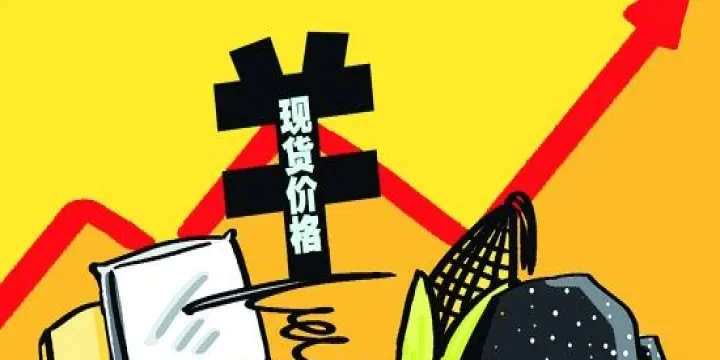期权套保比期货套保的优势(期权套保和期货套保) (https://www.ynbygsw.com/) 黄金期货 第1张