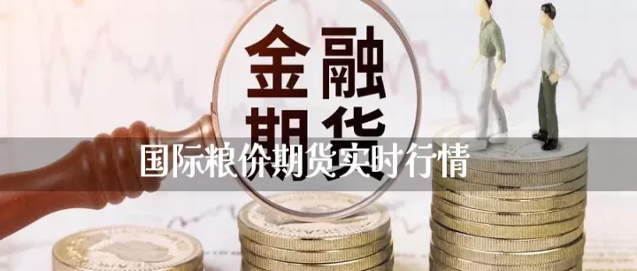 玉米期货是实时交易吗(玉米期货实时行情) 原油期货 第1张-财经圈 玉米期货是实时交易吗(玉米期货实时行情) (https://www.ynbygsw.com/) 原油期货 第1张