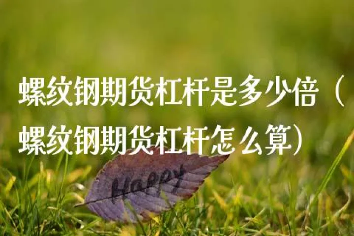 期货如何计算杠杆的倍数(期货怎么算杠杆率) (https://www.ynbygsw.com/) 期货学习 第1张