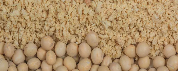 受cbot大豆期货涨势提振(cbot期货大豆最新行情) (https://www.ynbygsw.com/) 恒指期货 第1张