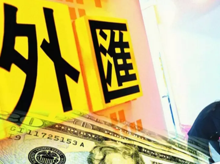 外汇期货交易的参加者是(外汇期货交易的参加者是什么) (https://www.ynbygsw.com/) 国际期货 第1张