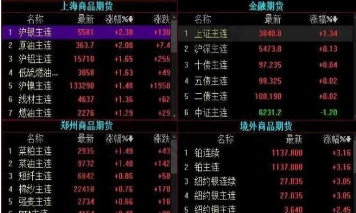 期货中逐笔浮盈是什么意思(期货逐笔浮盈和盯市浮盈的区别) (https://www.ynbygsw.com/) 股指期货 第1张