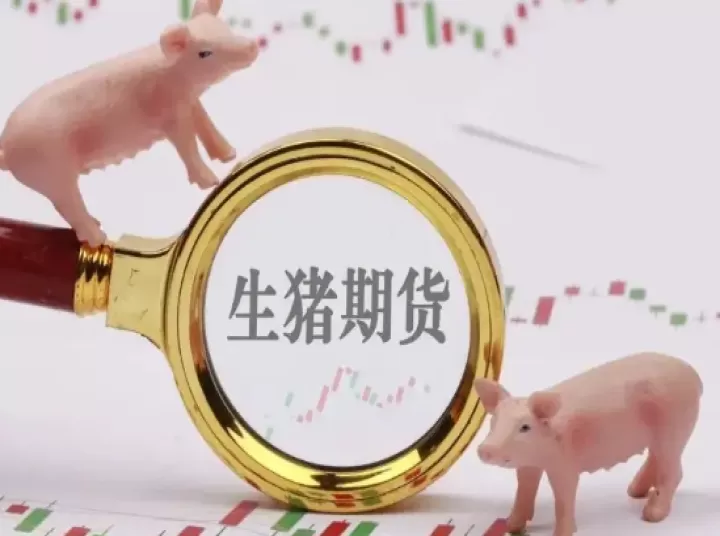 生猪期货交割规定(生猪期货个人交割) 纳指期货 第1张-财经圈 生猪期货交割规定(生猪期货个人交割) (https://www.ynbygsw.com/) 纳指期货 第1张