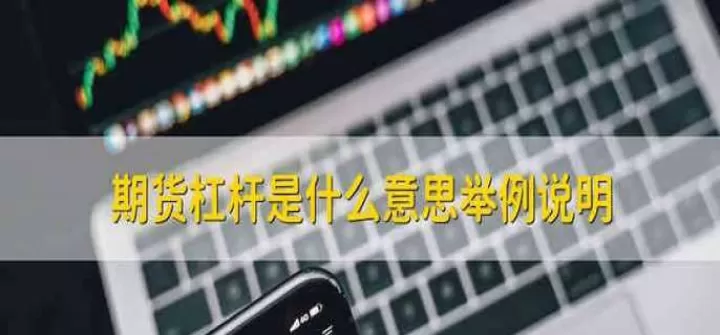 国内最高杠杆期货(期货杠杆最高的品种) 期货学习 第1张-财经圈 国内最高杠杆期货(期货杠杆最高的品种) (https://www.ynbygsw.com/) 期货学习 第1张