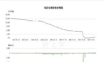 棉花期货价格有所反弹(棉花期货价格大涨) (https://www.ynbygsw.com/) 恒指期货 第1张