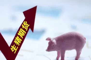 企业参与期货的作用(企业参与期货的作用是什么) (https://www.ynbygsw.com/) 原油期货 第1张