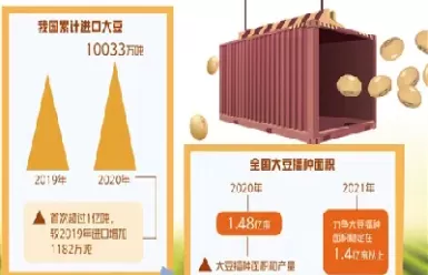 进口大豆价格期货(进口大豆价格期货实时行情) (https://www.ynbygsw.com/) 期货软件 第1张