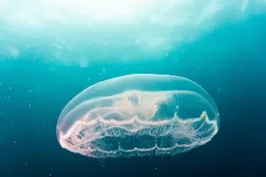 期货合约 基点价值(期货合约基点价值) (https://www.ynbygsw.com/) 股票推荐 第1张