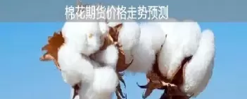 棉花期货开仓限制几手(棉花期货限仓多少) (https://www.ynbygsw.com/) 期货行情 第1张