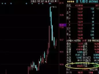期货怎样看外盘和内盘(期货内盘和外盘哪个量大好) (https://www.ynbygsw.com/) 原油期货 第1张