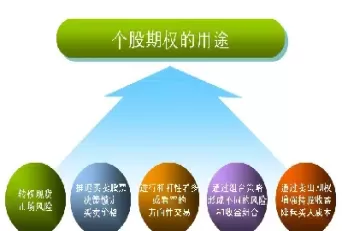 股票期权属于期货期权吗(股票期权属于什么) (https://www.ynbygsw.com/) 德指期货 第1张