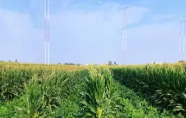 玉米大豆期货怎么买的到(大豆期货如何看) (https://www.ynbygsw.com/) 期货开户 第1张