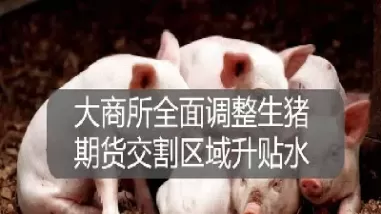 生猪期货科普一下(生猪期货的交易规则) (https://www.ynbygsw.com/) 国际期货 第1张