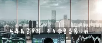 甲醇2209期货一手手续费是多少(甲醇期货交易一手要支付多少手续费) (https://www.ynbygsw.com/) 期货软件 第1张
