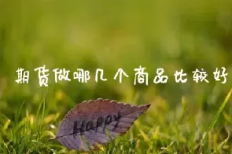 做那个期货品种(国内期货哪个品种好做) (https://www.ynbygsw.com/) 道指期货 第1张