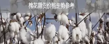 棉花期货保险怎么算(棉花期货怎么换算价格) (https://www.ynbygsw.com/) 黄金期货 第1张