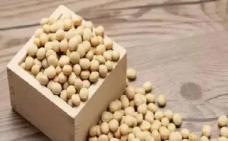 进口大豆期货怎么样了(大豆期货实时行情) (https://www.ynbygsw.com/) 内盘期货 第1张