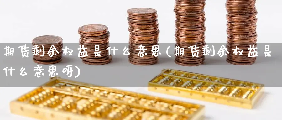 期货剩余权益是什么意思(期货剩余权益是什么意思呀) (https://www.ynbygsw.com/) 基金投资 第1张